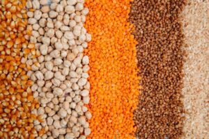 The Journey of Indian Spices and Pulses: From Farms to Global Markets